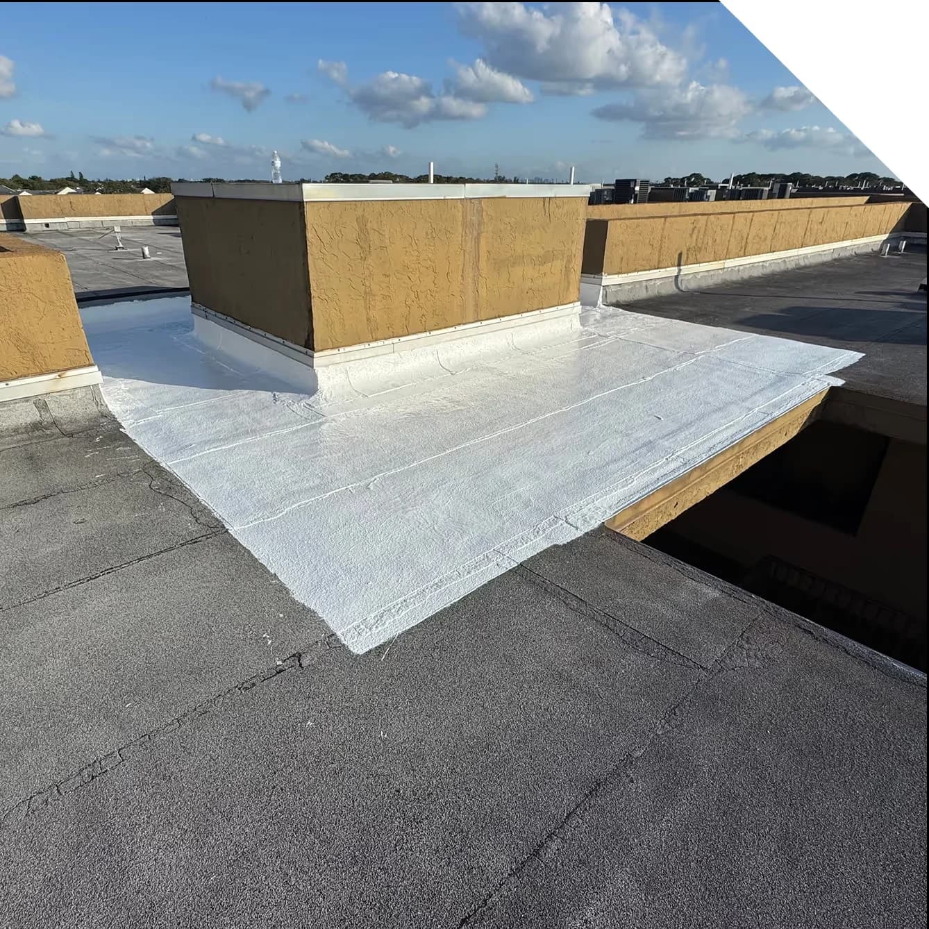 a commercial roof repair